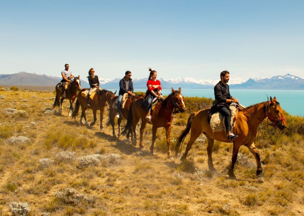 Cabaltaga en patagonia